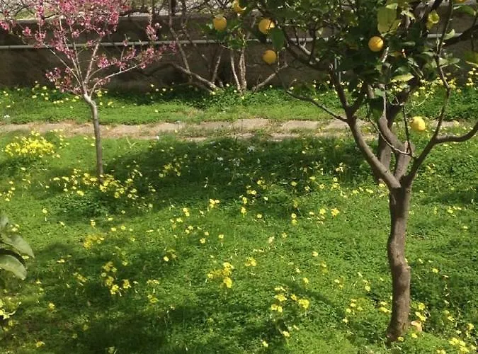 Casa Salvia Alojamento de Acomodação e Pequeno-almoço