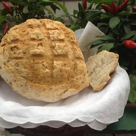 Casa Salvia 크로토네