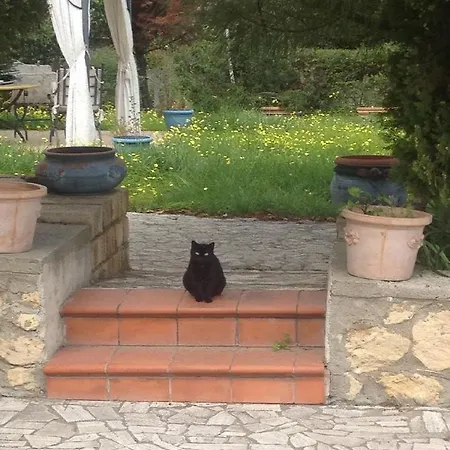 Casa Salvia B&B 크로토네