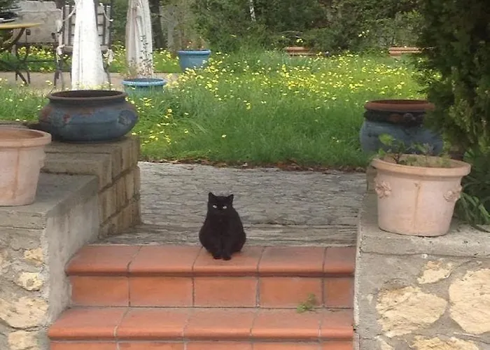 Casa Salvia Bed & Breakfast Crotone